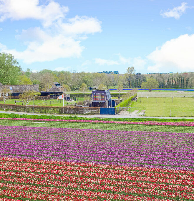 004_Kleverlaan_1_Egmond_aan_den_Hoef.jpg